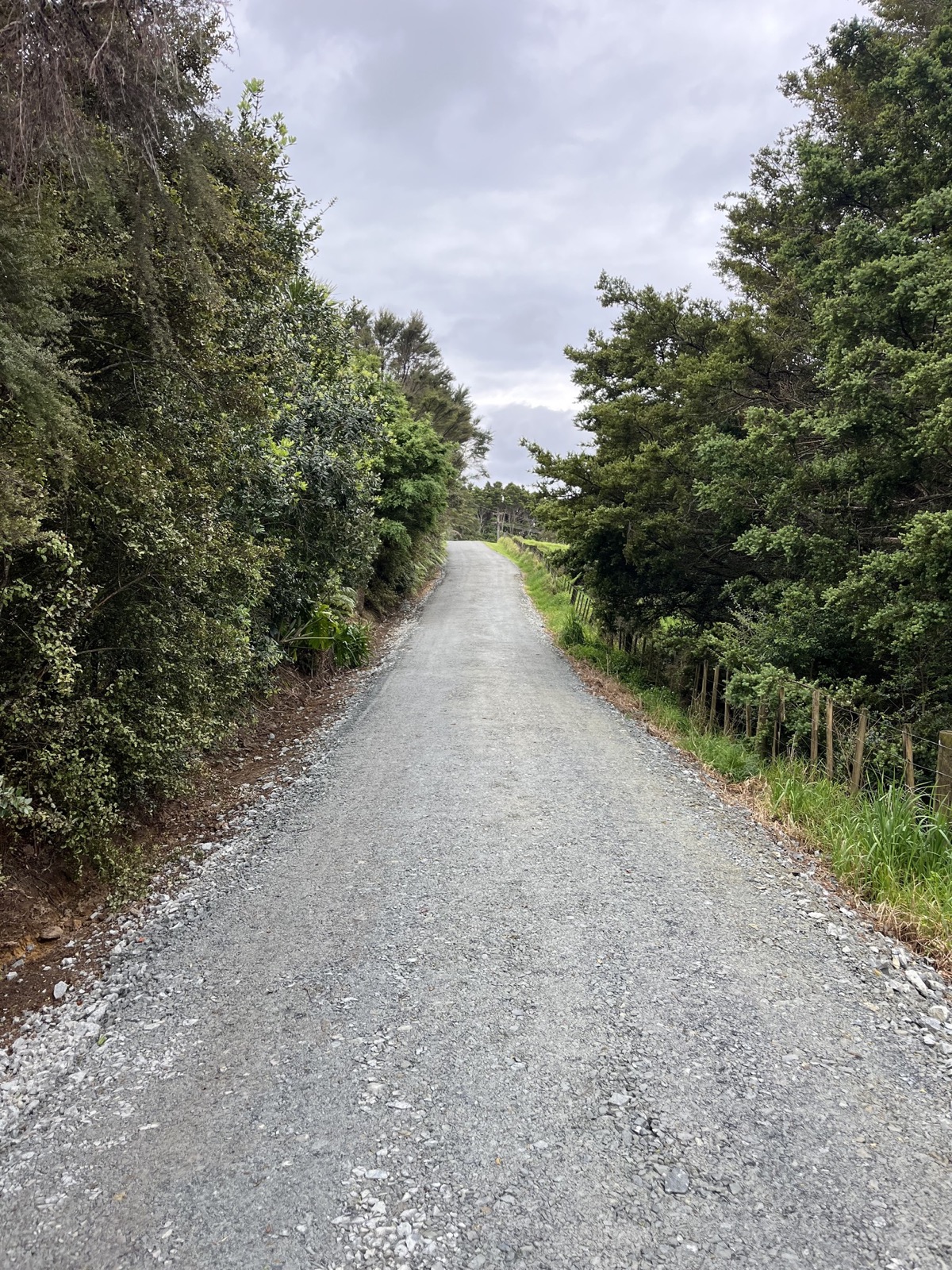 Rural Driveway Construction & Upgrades - Image 3